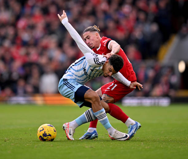 他们不仅为 他们不仅为