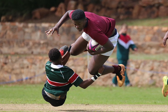 的有力补充 的有力补充