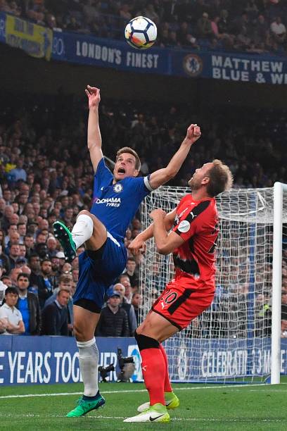 福法纳的参 福法纳的参